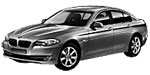 BMW F10 C15D6 Fault Code
